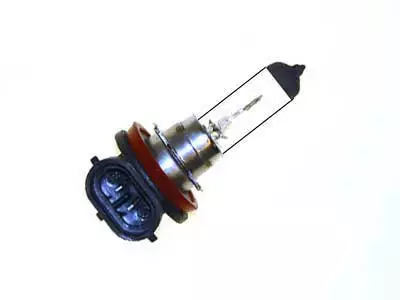 H8 Halogen bulb, 35W - 12V - H8, H9, H10, H11, H13, H15 - 4060101600 - 2