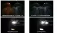 LED Conversion Kit H10 - LED conversion kits - 8020101300 - 3