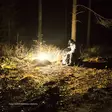 Camping lantern Fenix CL30R, 650lm - Flashlights - 5010403600 - 7