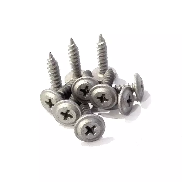 Screws for licence plate bracket - Auxiliary light accessories - 3050120220 - 1