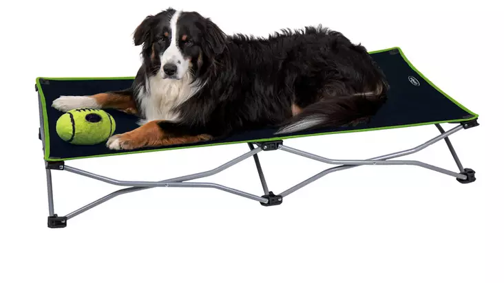 Folding lounger Momo - Pets - 8020112511 - 1