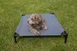 Dog lounger with sun canopy - Pets - 8020112593 - 3