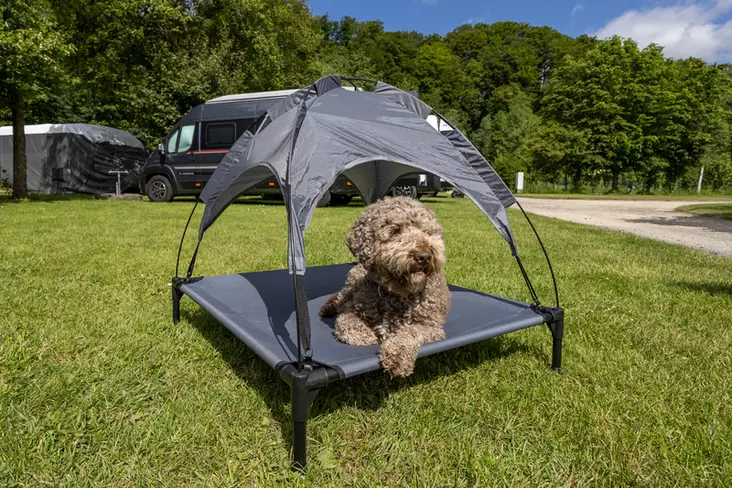 Dog lounger with sun canopy - Pets - 8020112593 - 1