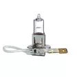 H3 Halogen Bulb - H3 Halogen bulbs - 4060101004 - 2