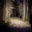 Ledwise Saint led flashlight - Flashlights - 8020103674 - 8