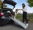 Folding dog ramp Emma - Pets - 8020112294 - 1