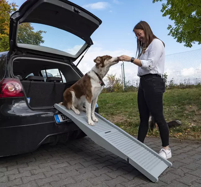 Folding dog ramp Emma - Pets - 8020112294 - 1