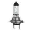 H7 Halogen Bulb 55W 12V - H7 Halogen bulbs - 4060101055 - 2