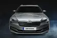 DSM Integra Skoda Octavia 2021- - Skoda auxiliary lights - 8020108077 - 7