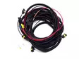 Lazer "Pickup" relay wire set with switch - Relay wire kits - 3050120767 - 1