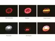 Optibeam Dark Phantom Ø155mm rear light 5m ADR - LED Tail lights - 8020120967 - 7
