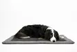 Outdoor blanket for dogs ABBY, 100 x 05 cm - Pets - 8020112297 - 2