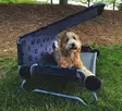 DOG BED Small - Pets - 8020112448 - 3
