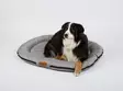 Holiday Travel dog bed - Pets - 8020112368 - 1