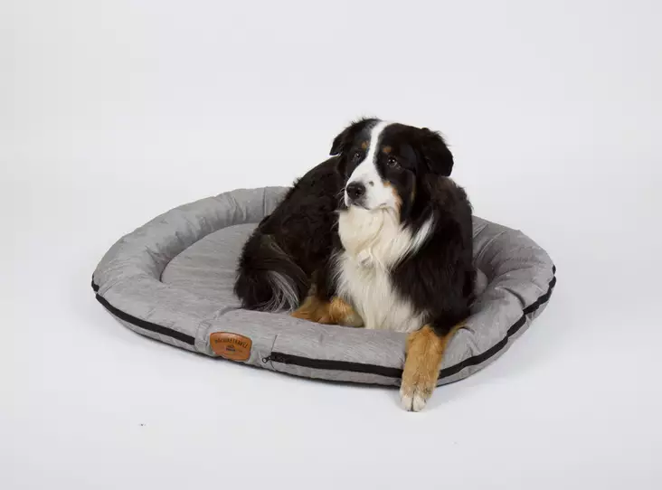 Holiday Travel dog bed - Pets - 8020112368 - 1
