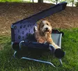 DOG BED Large - Pets - 8020112299 - 2